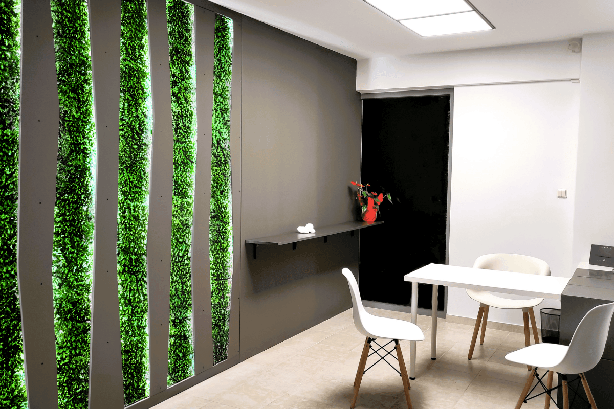 Υποδοχή της αίθουσας εκπαίδευσης Solid Skills στην Αθήνα με πράσινο διακοσμητικό τοίχο.